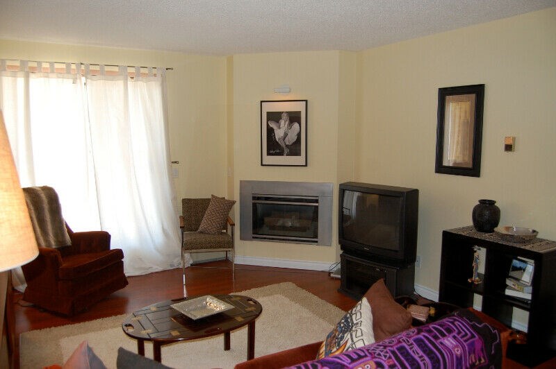 Bright, Beautiful 1 BR Edgemont Condo For Rent June 1
