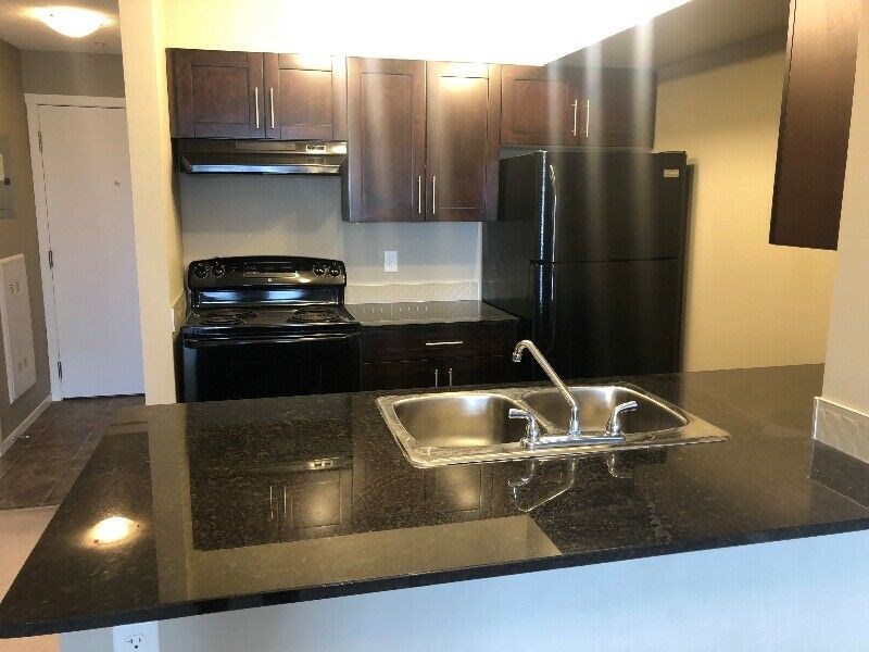 Fantastic 2 Bedroom Condo For Rent