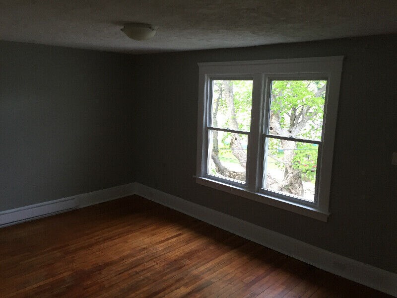 Large Downtown 3-bedroom Apartment With In-unit Laundry
