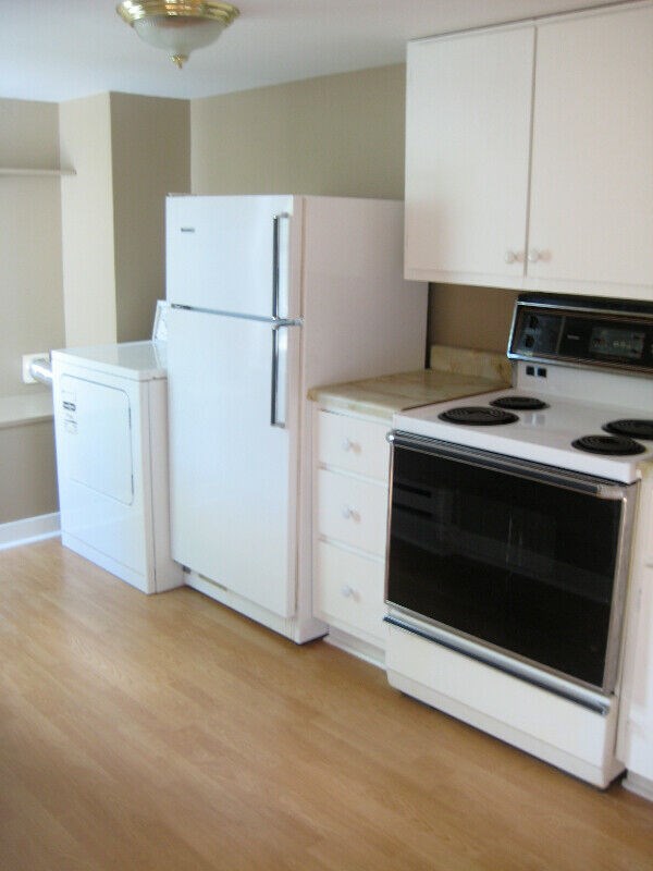 Full-furnished And Spacious 2 Bed Downtown Apartment