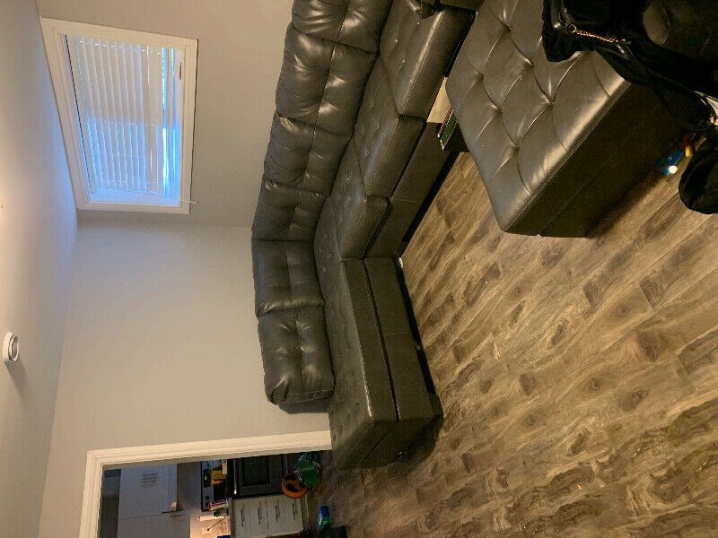 Three Bedroom Basement Apartment For Rent
