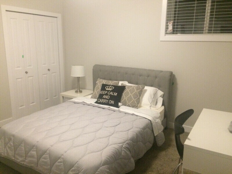 Legal 2Bed Basement Suite For Rent