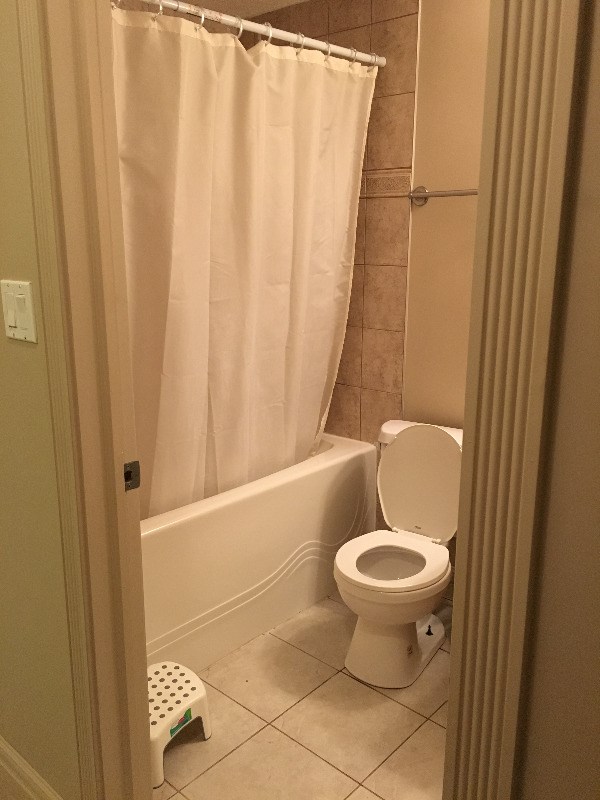 Renovated 2 Bedroom Basement For Rent