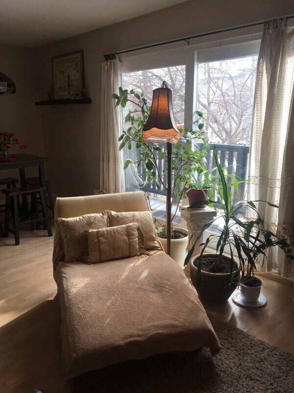 Lovely 2Bed 1bath Condo For Rent