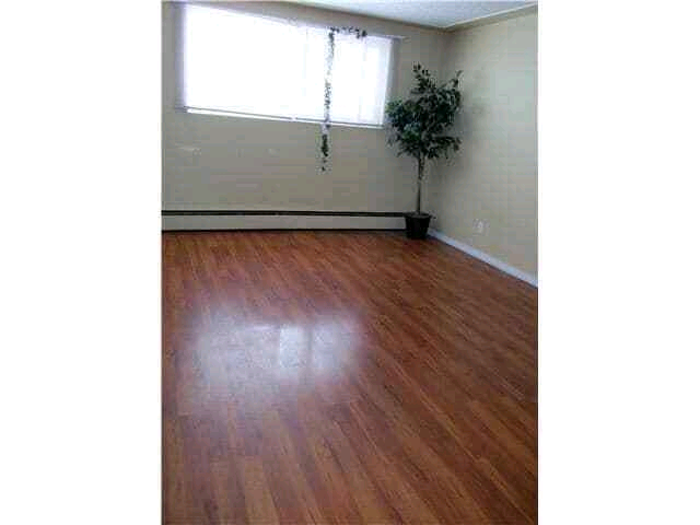 Nice 1 Bedroom Apartment For Rent