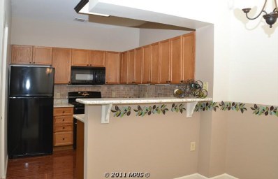 1 Bedroom Condo Available For Rent In Herndon - WorldGate