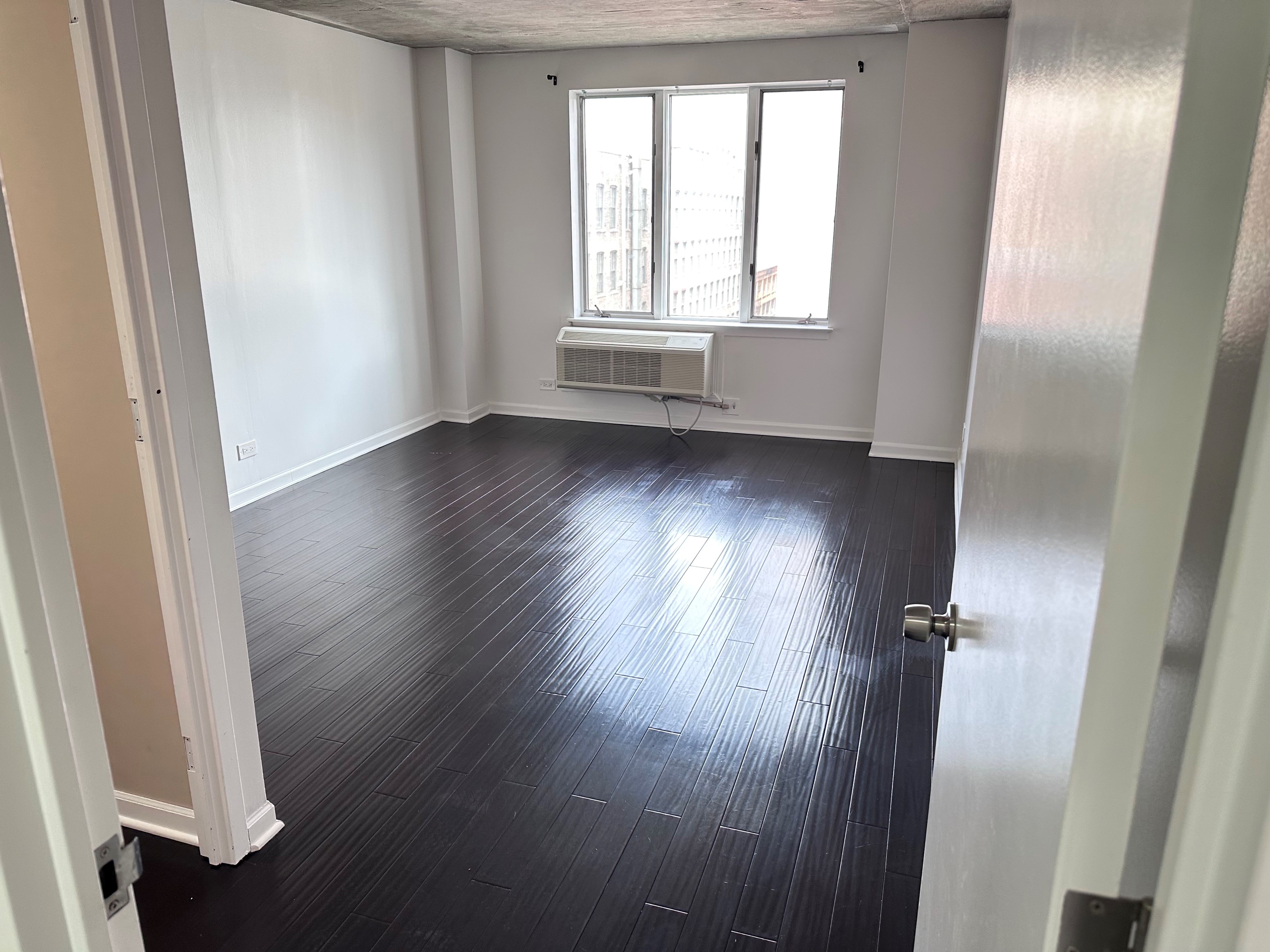 1-Bedroom With Den In South Loop – Steps From Michigan Ave