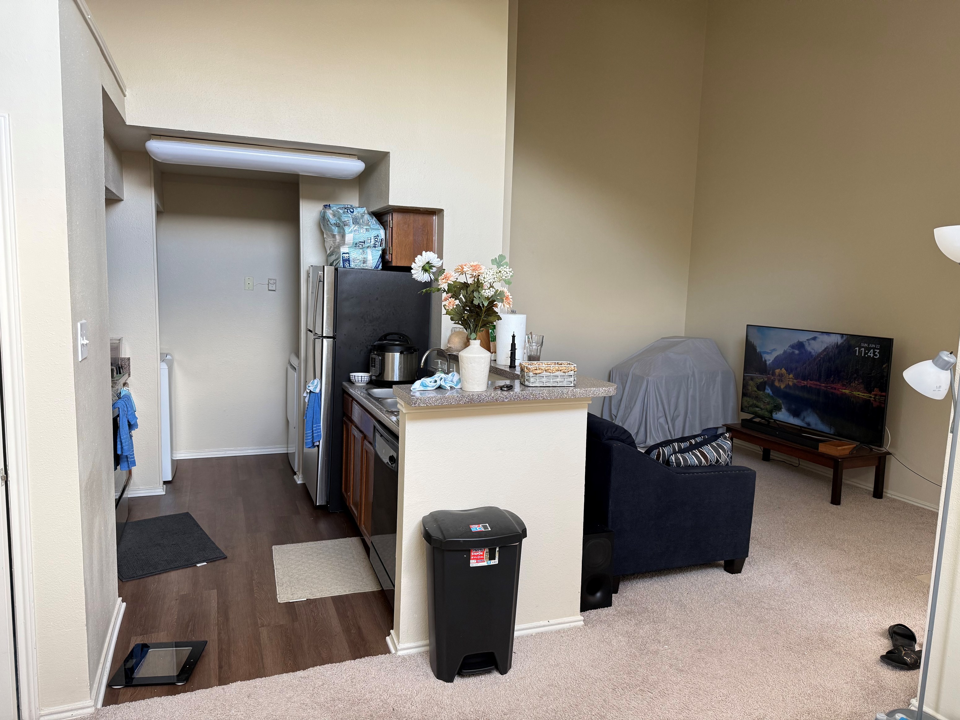 Rent A Apartment In Irving, TX For $1200 Per Month