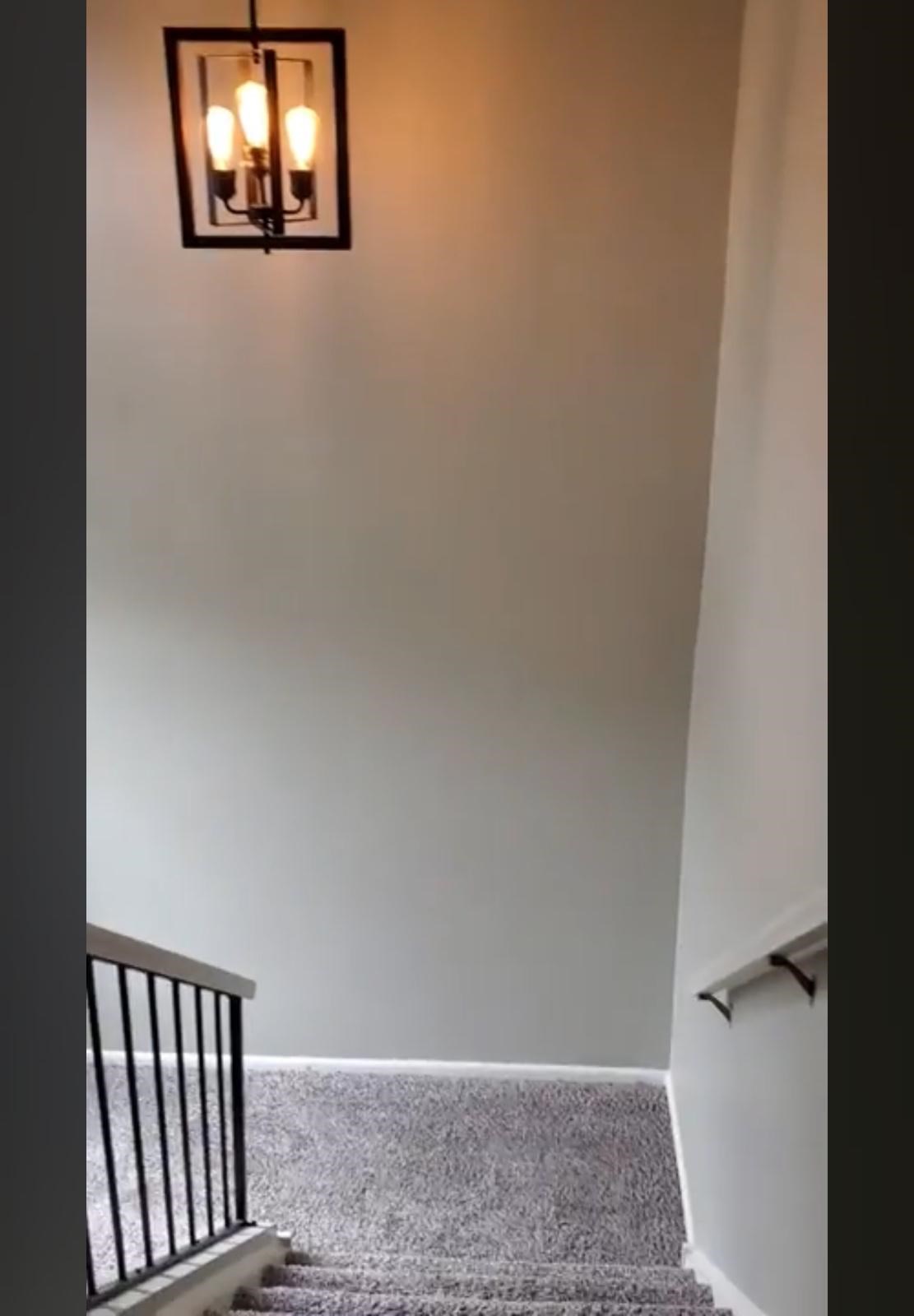 1 BHK Apartment For Sublease Or Rent - Available For 6 Months!