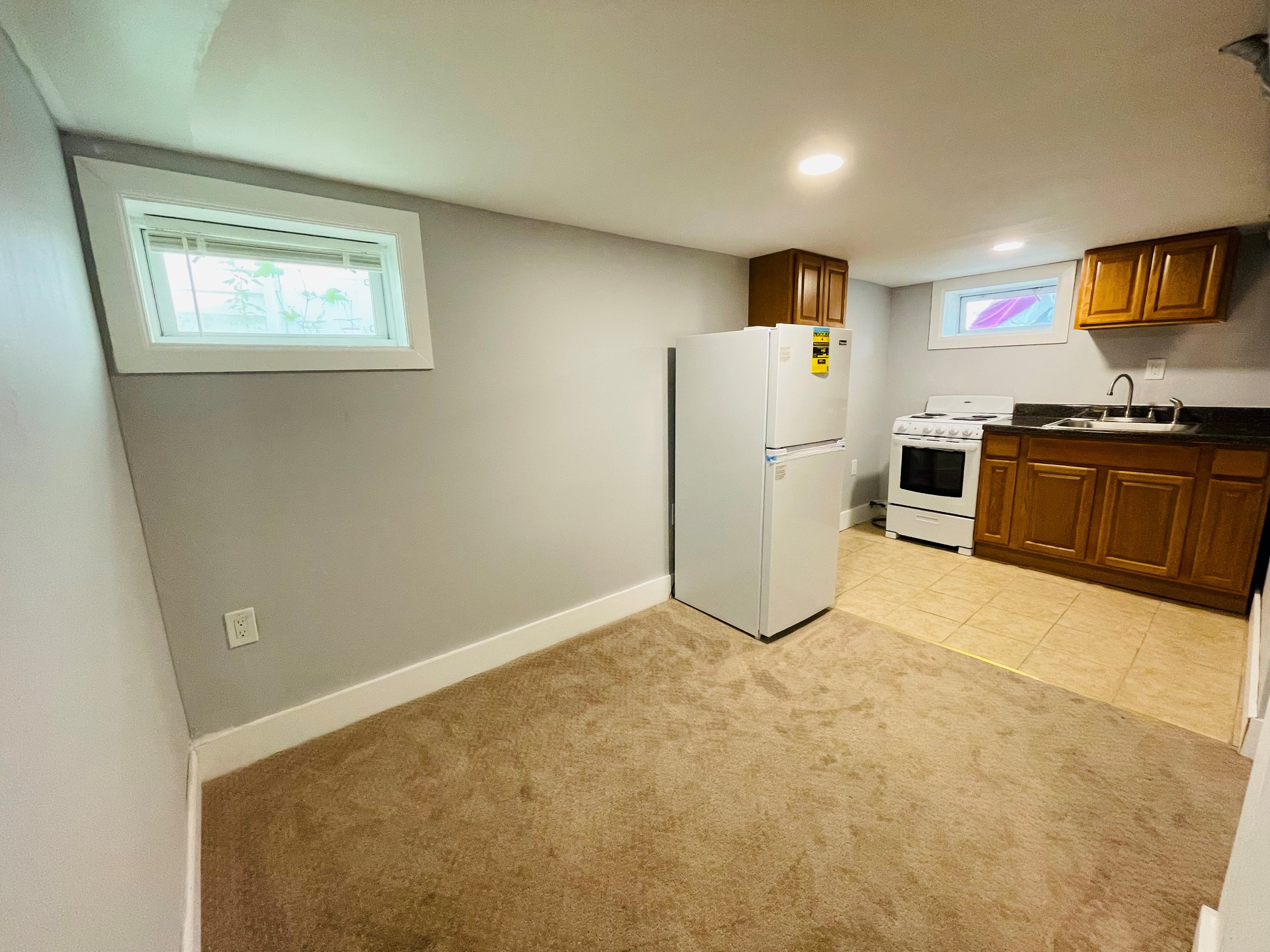 Lower Level One Bedroom, BHK Including Utilities.