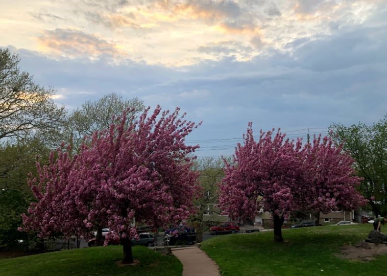 Click to Enlarge Beautiful 3BR Plus Office / 1 Bath Home. Laundry, Parking, Near JSQ/Path Jersey City Heights. No Broker Fee: 201-305-9190