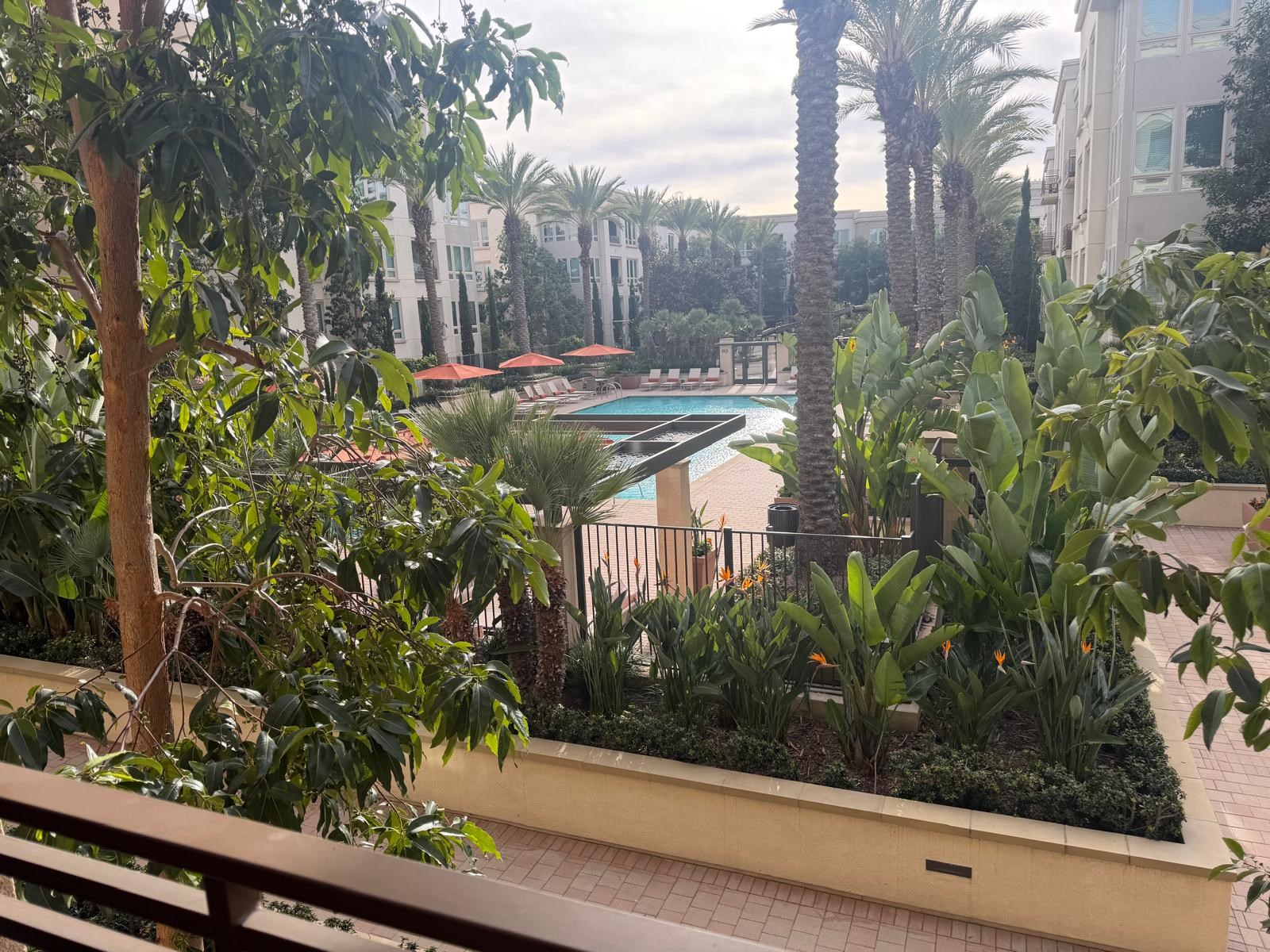 2 Bed 2 Bath LUXURY Apartment Available On Discounted Rent