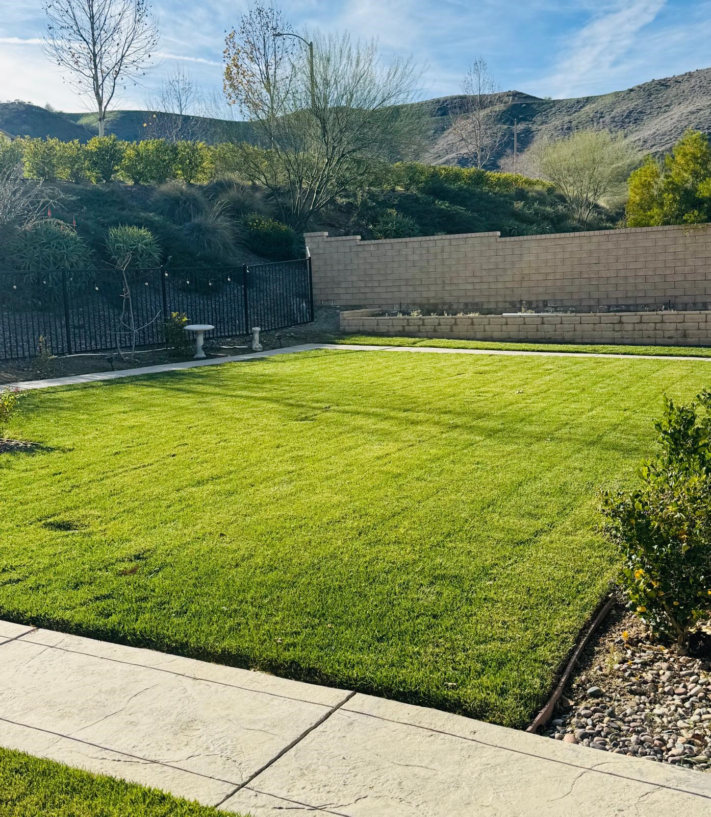 Beautiful House In Safe Neighborhood For Rent