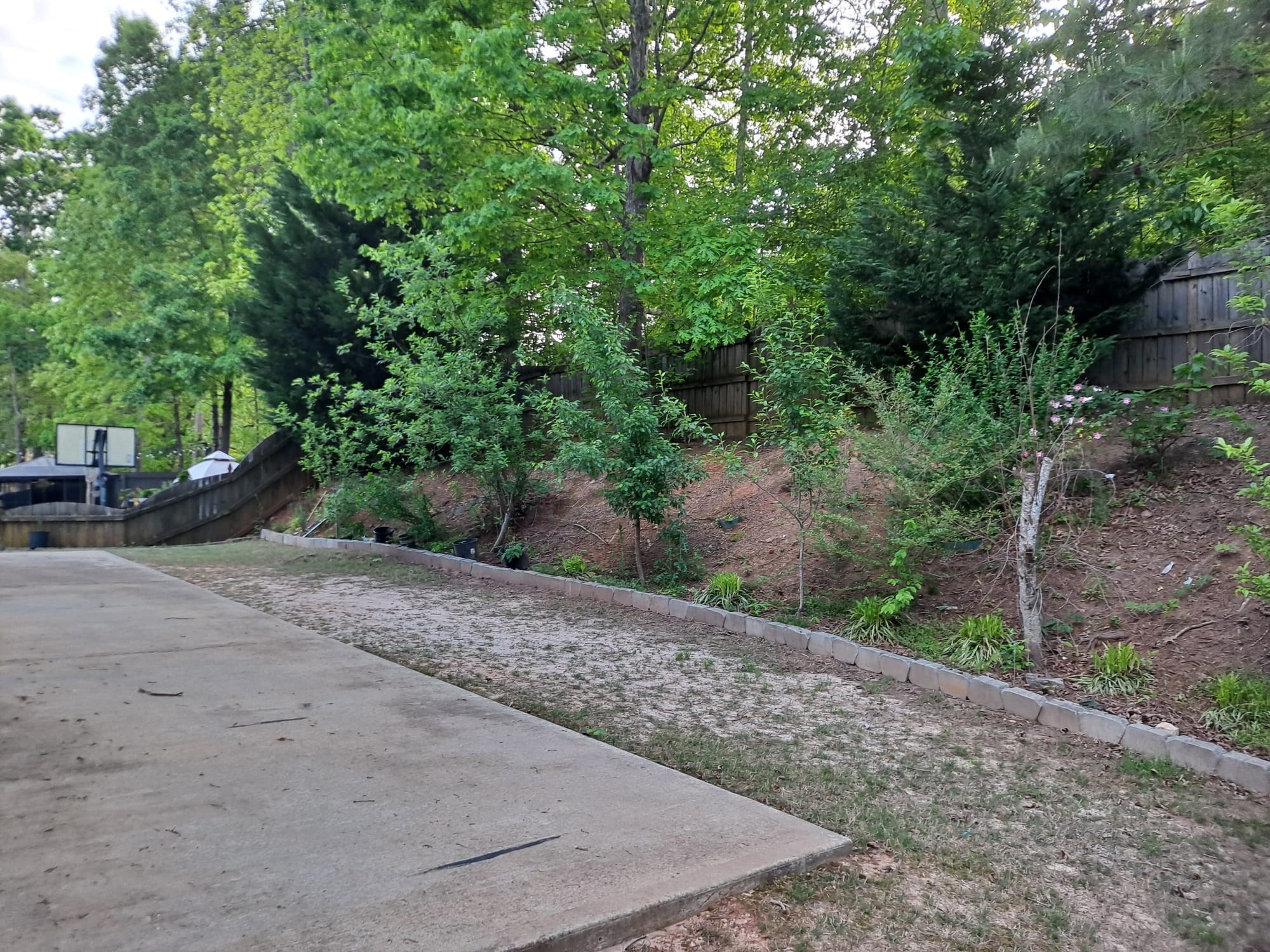 Premium Individual 3 Rooms Available For Rent In A Spacious Single-family Alpharetta Home