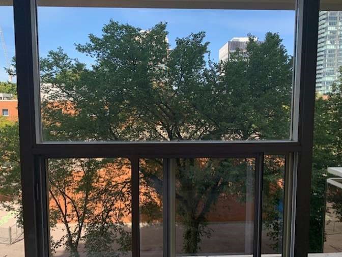 Private Room With Shared Bathroom In Midtown, ON