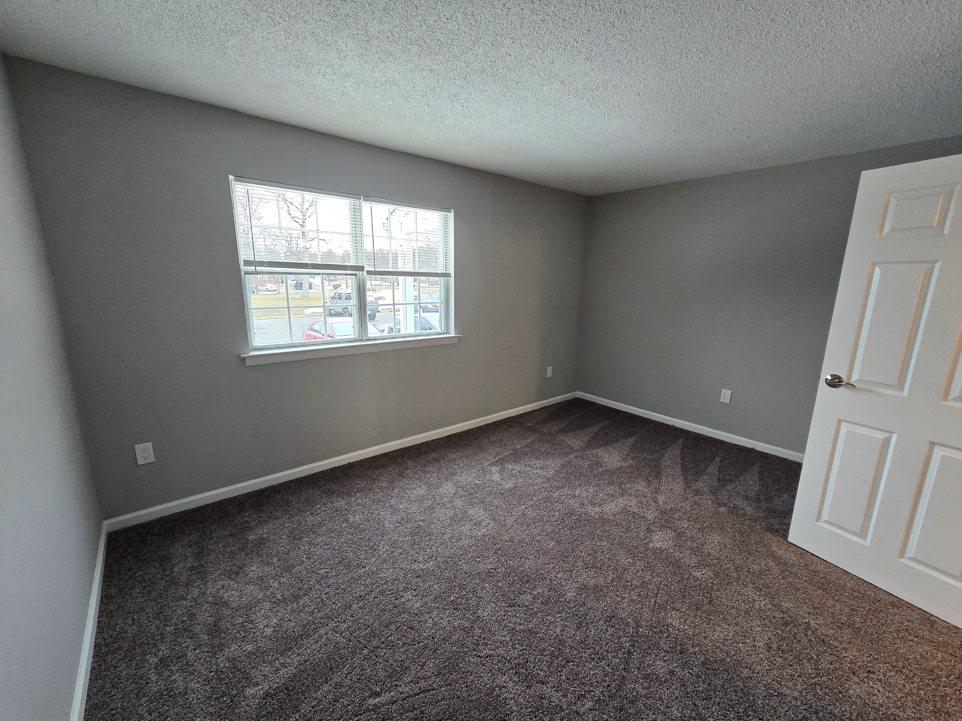 Room / HALL For Rent In 1BHK APARTMENT IN Hamilton