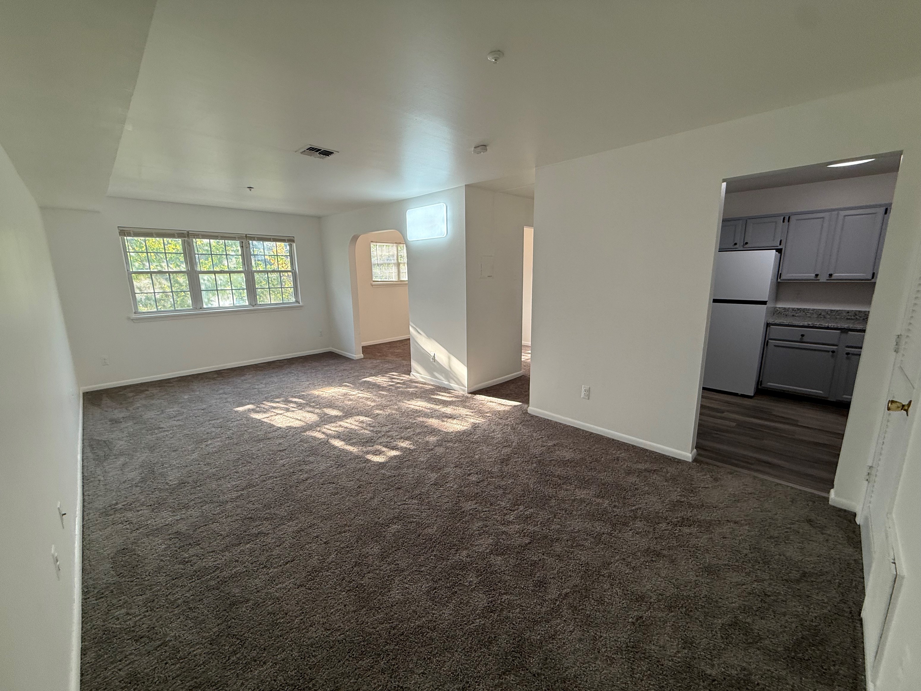 153COLLEGEDR