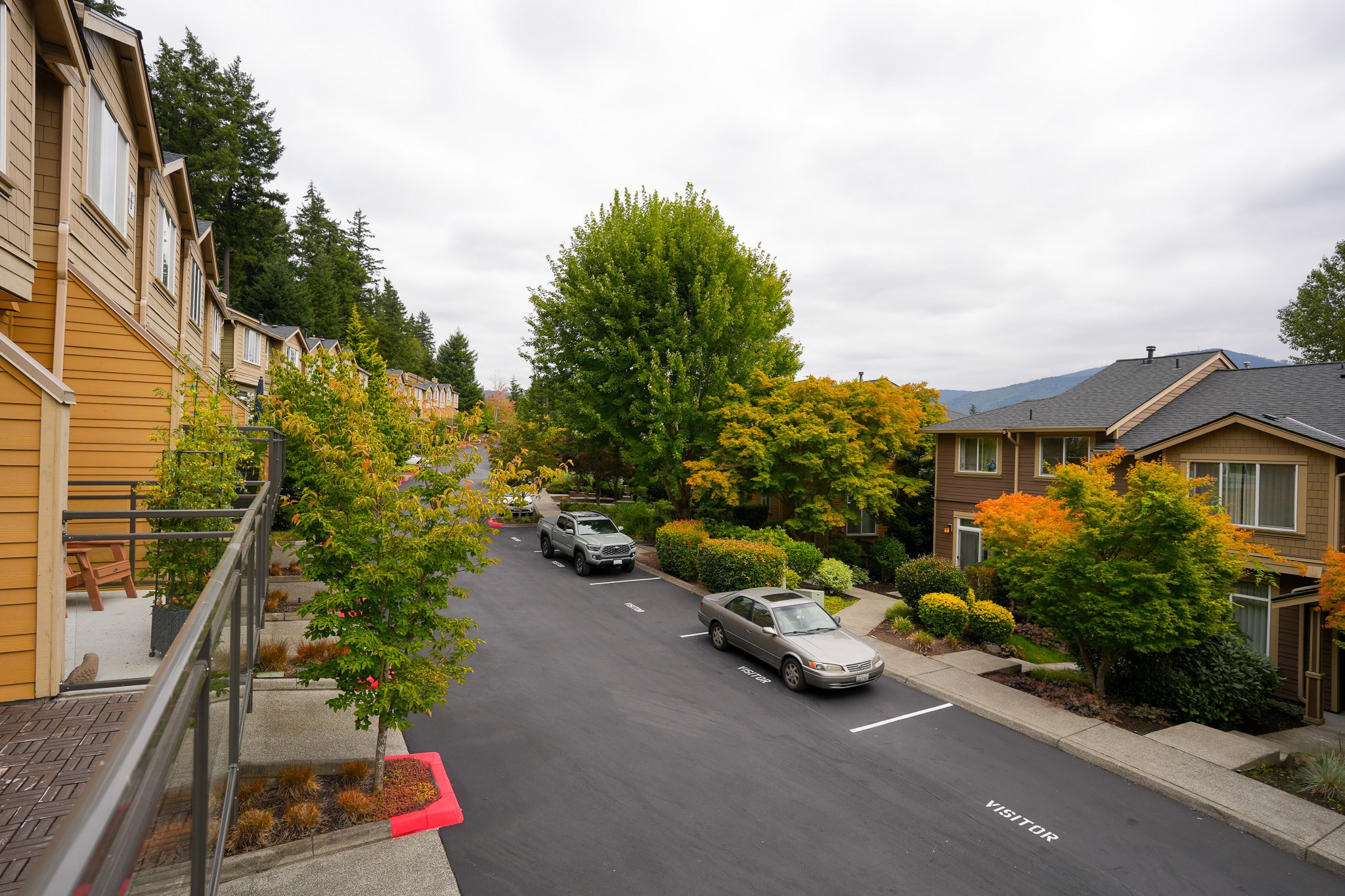 Luxury 4 Beds / 3.5 Bath Townhome In Issaquah Ridge