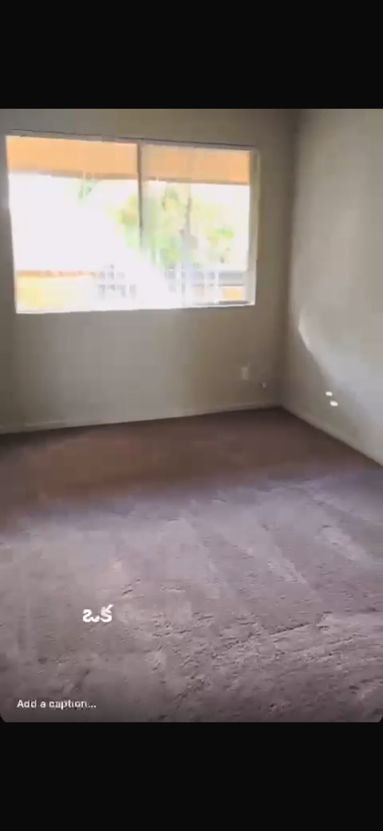 Sample