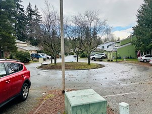 Shared Accommodation Available In Spacious Townhome
