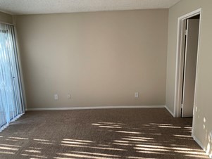 Single Room Available