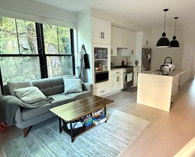 Modern Condo Near Longwood Medical - Room For Rent