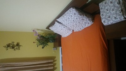 Fully Furnished Room For Rent In Piscataway Vegetarian Only