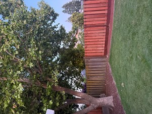 Single Room Available For Rent In San Ramon