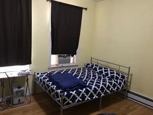 Master BR With Private Bath Available In Spacious 3 BR - 2 BA Apt. Near Journal Square PATH
