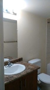 Spacious Single Bedroom Basement For Rent With Separate Entrence