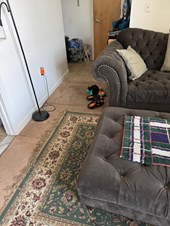 Furnished Room Available In Stamford Downtown