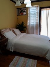 Sunny Room In Brooklyn