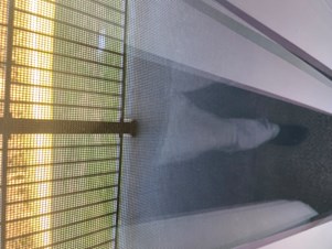 One Bood Room Available Near Kenwood Ohio