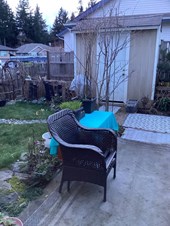 Spacious Unfurnished Bedroom Available