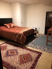 Basement Room With Private Shower/bathroom