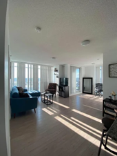Affordable Male Roommate Wanted