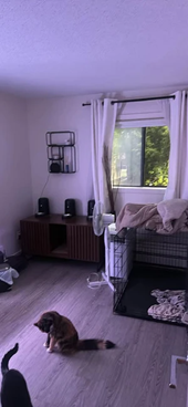 Roommate Wanted In Red Deer West Park