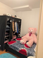 Shared Room With Shared Bathroom In Bathurst