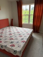 Single Bed Room For Rent