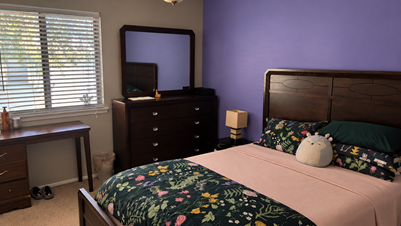 Cozy Guest Room Near USF, Casino & Everyday Essentials - All Included