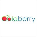 COLABERRY INC