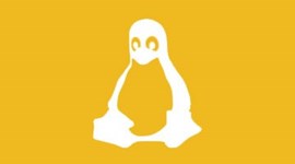 Linux