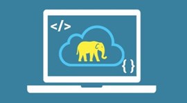 Hadoop Developer