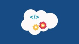 Salesforce Developer