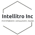 INTELLITRO INC
