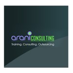 Arani Consulting