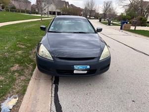 Car Rental   Daily & Weekly Options Available